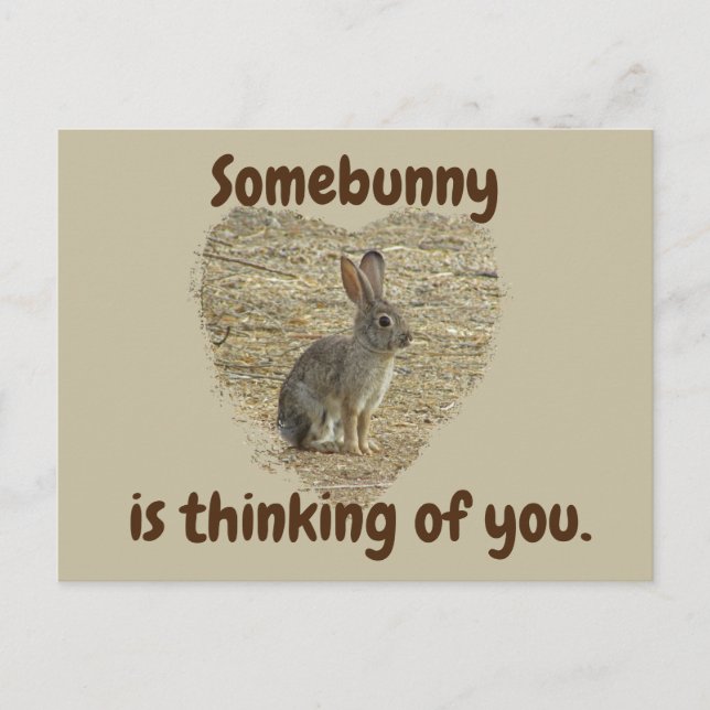 Carte Postale Pensant à toi Mignon Lapin Te Manque Amitié (Devant)