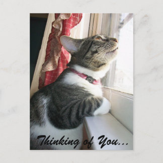 Carte Postale Pense à toi...