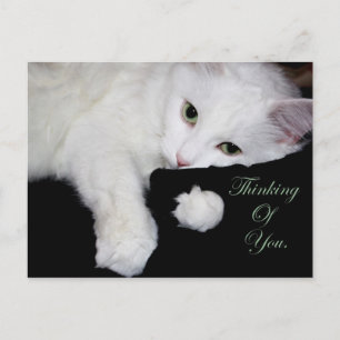 Carte Postale Pense à toi...