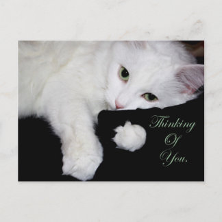 Carte Postale Pense à toi...