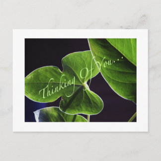 Carte Postale Pensée à vous…