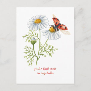 Carte Postale Pensées pour vous Marguerites et coccinelle