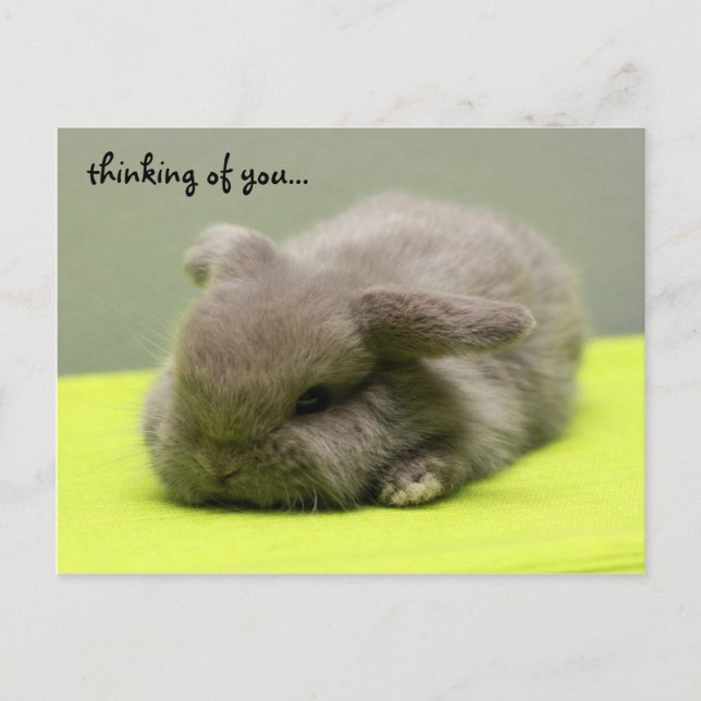 Carte Postale penser à toi... (Devant)