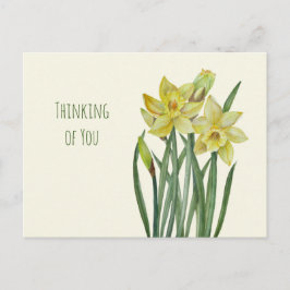 Carte Postale Penser à votre aquarelle Daffodils Illustration