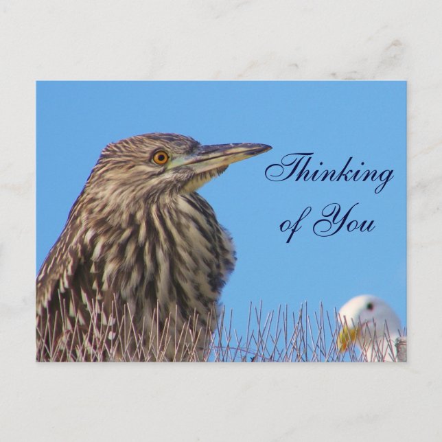 Carte Postale Penser à votre_Carte (Devant)