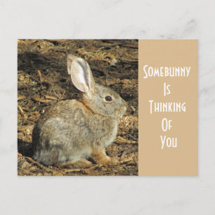 Carte Postale Penser À Vous Adorable Lapin Brown Sauvage