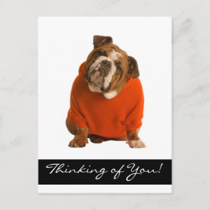 Carte Postale Penser à vous Anglais Bulldog Chien Chien Chien Ch
