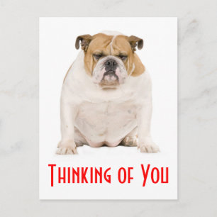 Carte Postale Penser à vous Anglais Bulldog Chien Chien Chien Ch