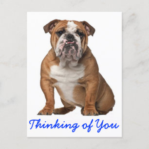 Carte Postale Penser à vous Anglais Bulldog Chien Chien Chien Ch