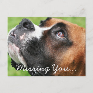 Carte Postale Penser à vous Boxer - Vindy