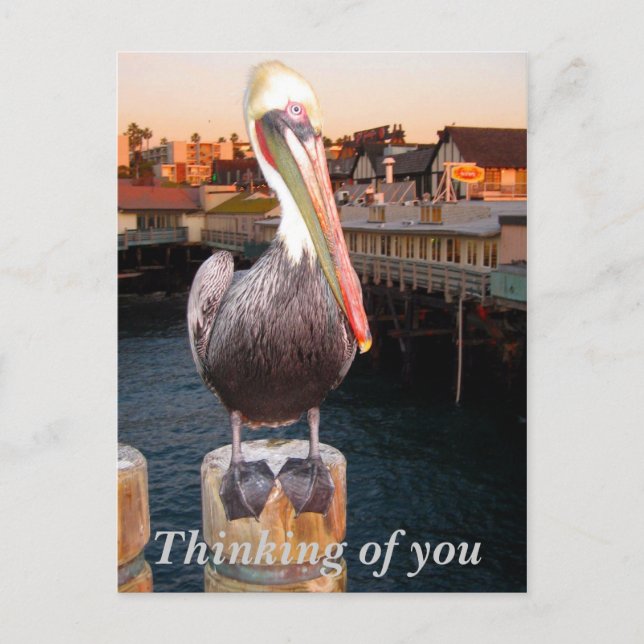 Carte Postale Penser à vous_Carte postale (Devant)