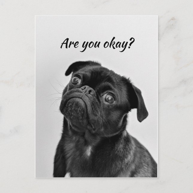 Carte Postale Penser à vous chien drôle Dites-moi que vous allez (Devant)