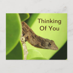Carte Postale Penser À Vous Feuilles Reptile Gecko Amitié