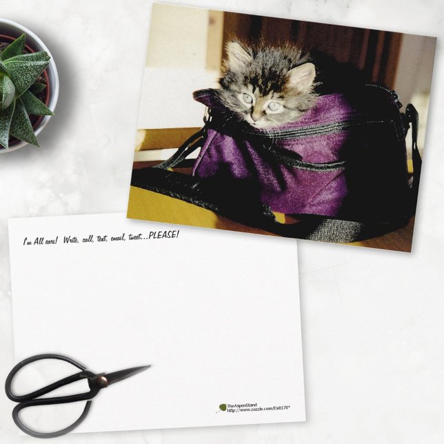 Carte Postale Penser À Vous Grand Kitten Réveillé Dans Purple Pu (Créateur téléchargé)