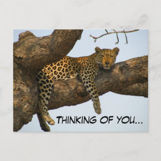 Carte Postale Penser à vous (Leopard dans un arbre)