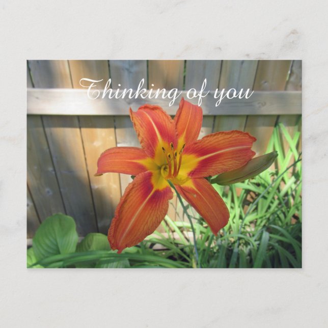Carte Postale Penser à vous Orange Lily photo florale (Devant)