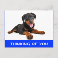 Penser à vous Rottweiler Puppy Chien Postcard