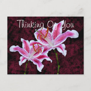 Carte Postale Penser à vous Stargazer Lily Photo personnalisée