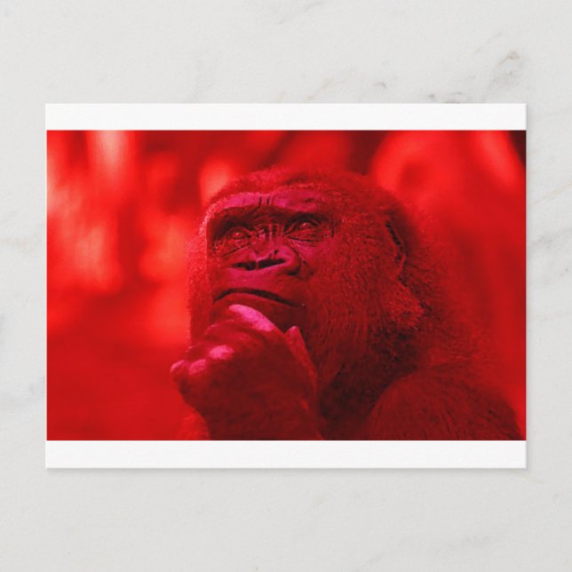 Carte Postale Penser Gorilla (Devant)