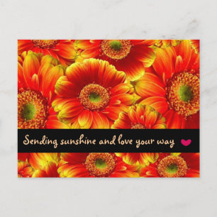 Carte Postale Pensez à vous