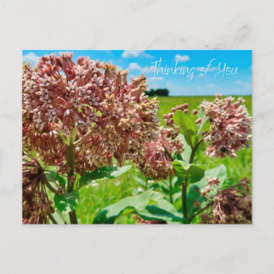 Carte Postale Pensez à vous