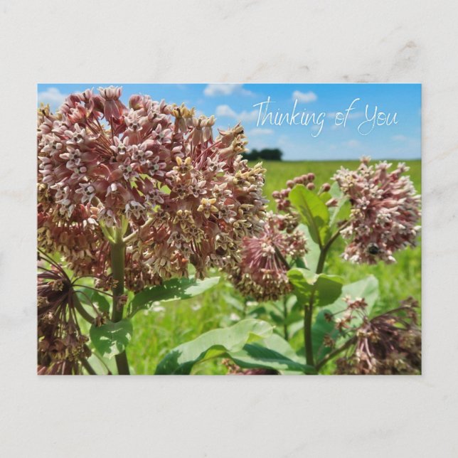 Carte Postale Pensez à vous (Devant)