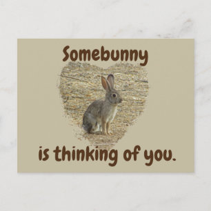 Carte Postale Pensez à vous adorable lapin dans l'amitié de coeu