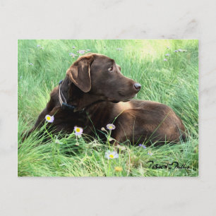 Carte Postale Pensez à vous Labrador Retriever Purple Flowers
