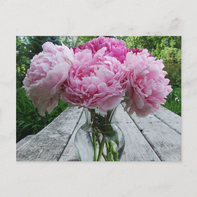 Carte Postale Peonies roses / Arrangement de fleurs de pivoines  (Devant)