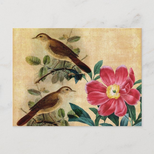 Carte Postale Peony avec Nightingales (Devant)