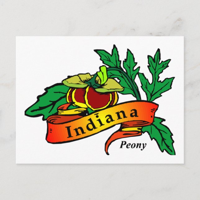 Carte Postale Peony - Fleur d'État de l'Indiana (Devant)