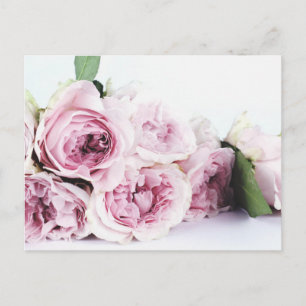 CARTE POSTALE PEONY FLEURS