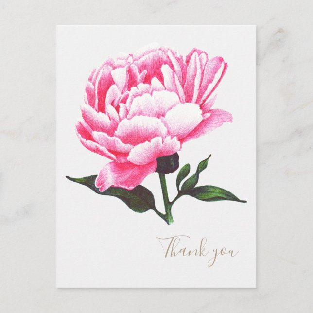 Carte postale Peony Flower Illustration Stylo Dess (Devant)