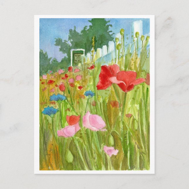 Carte Postale Pépites roses rouges Fleurs aquarelles (Devant)