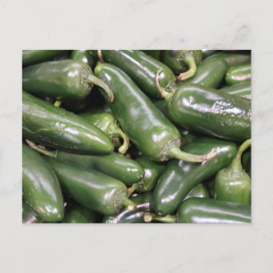 Carte Postale Peppers Jalapeno Vert brillant Encore Vie