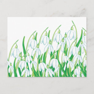 Carte Postale Perce-neige de printemps