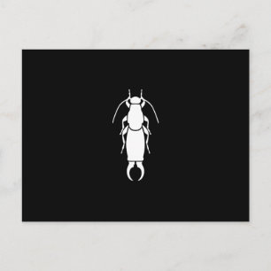 Carte Postale Perce-oreille