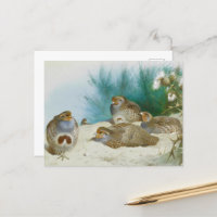 perdrix anglaise avec gorges et chardons, Art