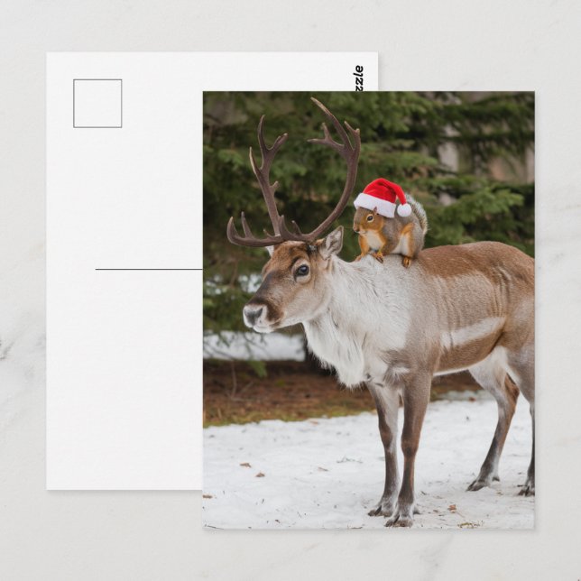Carte Postale Père Noël adorable écureuil et le Noël des rennes (Devant / Derrière)