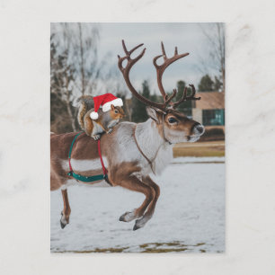 Carte Postale Père Noël adorable Écureuil sautant Renne dans la 