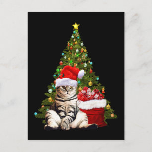 Carte Postale Père Noël Cat