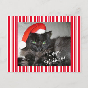 Carte postale père Noël Cat Strited Christmas