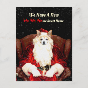 Carte Postale père Noël Chihuahua Chien Rouge Drôle Nouvelle Adr