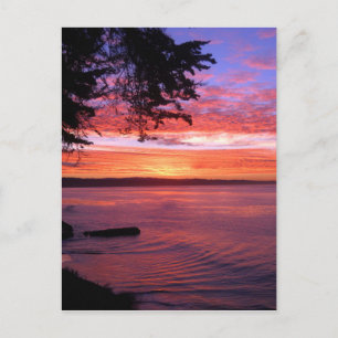 Carte Postale Père Noël Cruz, CA. Soleil