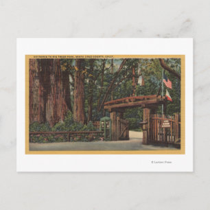 Carte Postale Père Noël Cruz County, CA Entrée de Big Trees Park