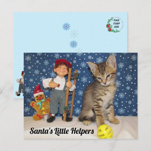 Carte Postale Père Noël Little Helpers - Chat & Elf (Devant / Derrière)
