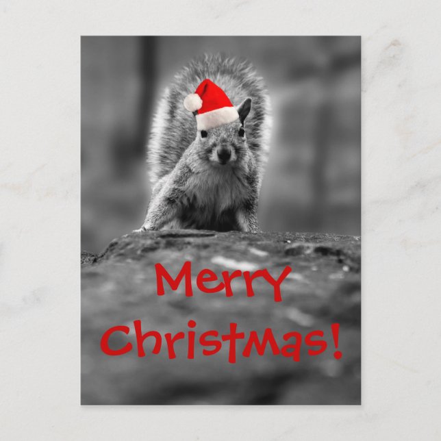 Carte postale père Noël Squirrel Joyeux Noël (Devant)