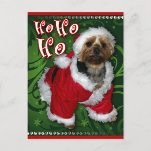 Carte postale père Noël Yorkie