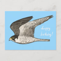 Peregrine Faucon coloré crayon HEUREUX ANNIVERSAIR