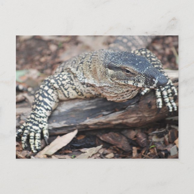 Carte Postale Perenti (Devant)